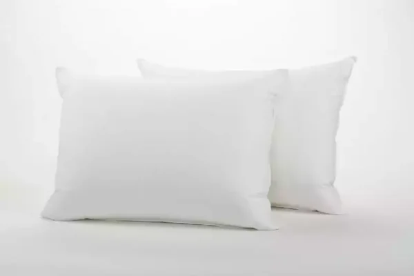 100% natural silk filled pillows