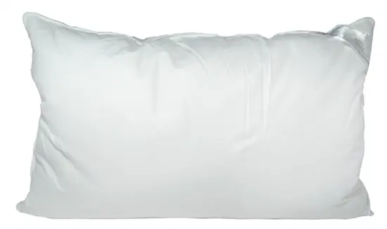 Bellissimo goose down surround pair pillows