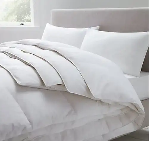 Canadian goose down quilt